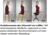 Lffler Sitzergonomie: Ableitung einer sinnvollen Synthese