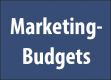 ITK-Branche/Marketing-Budgets: „Social Media wird unverzichtbar“