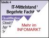 IT-Mittelstand / Fachkrfte: Die Klagen der Kleinen